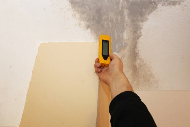  Merrillville, IN Mold Removal Pros