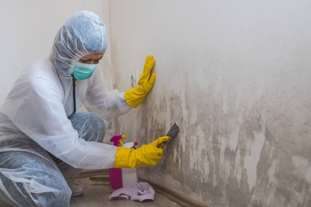 Best Air Quality Testing for Mold Spores  in Merrillville, IN