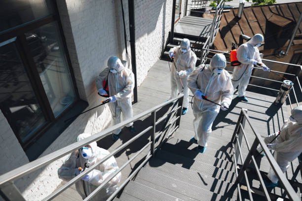 Best Biohazard Mold Removal  in Merrillville, IN