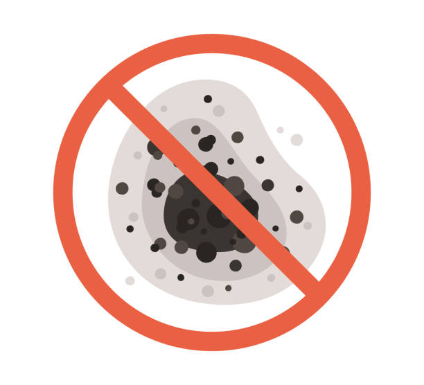 Best Dehumidification Services  in Merrillville, IN