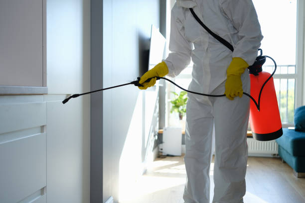 Best Post-Construction Mold Inspection  in Merrillville, IN