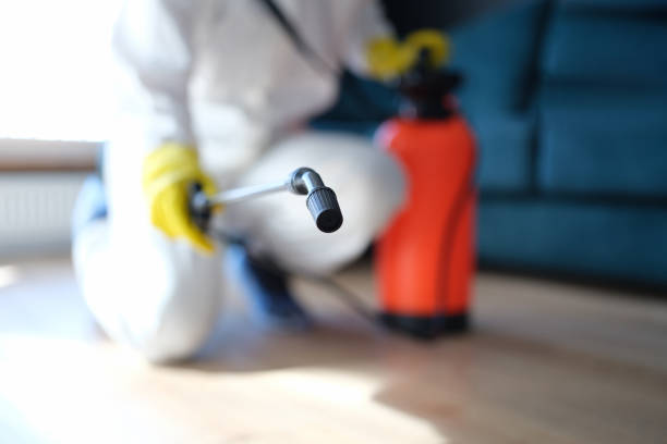 Best Environmental Consulting for Mold Prevention  in Merrillville, IN