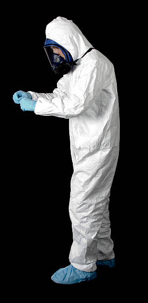 Best Emergency Mold Remediation  in Merrillville, IN