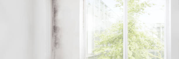 Best Indoor Air Quality Assessment  in Merrillville, IN