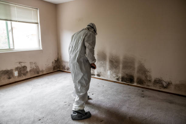 Best Mold Remediation for Healthcare Facilities  in Merrillville, IN