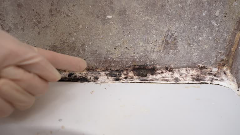 Best Post-Remediation Verification Testing  in Merrillville, IN