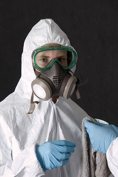 Best Post-Construction Mold Inspection  in Merrillville, IN